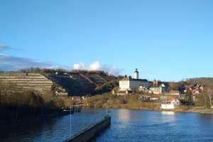 Eine malerische Aussicht auf den Rhein in Deutschland, mit einer Brücke, Laternenmasten, Bäumen, Gebäuden entlang der Flussufer und einem Hügel im Hintergrund unter einem bewölkten Himmel.