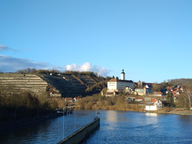 Eine malerische Aussicht auf den Rhein in Deutschland, mit einer Brücke, Laternenmasten, Bäumen, Gebäuden entlang der Flussufer und einem Hügel im Hintergrund unter einem bewölkten Himmel.
