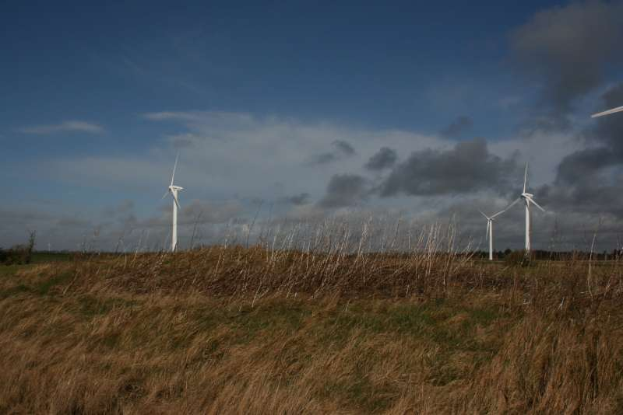 Ein Windturbinenfeld auf einer grasbewachsenen Fläche mit Bäumen im Hintergrund und Wolken am Himmel, beschriftet als Windpark in den Niederlanden.