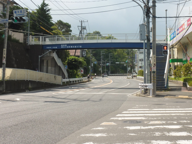 Stadtstraße mit einer Fußgängerbrücke darüber, Fahrzeuge auf der Straße, Strommasten mit Kabeln, Verkehrsampeln, Schilder, Gebäude mit Fenstern, Bäume und ein Himmel als Hintergrund.