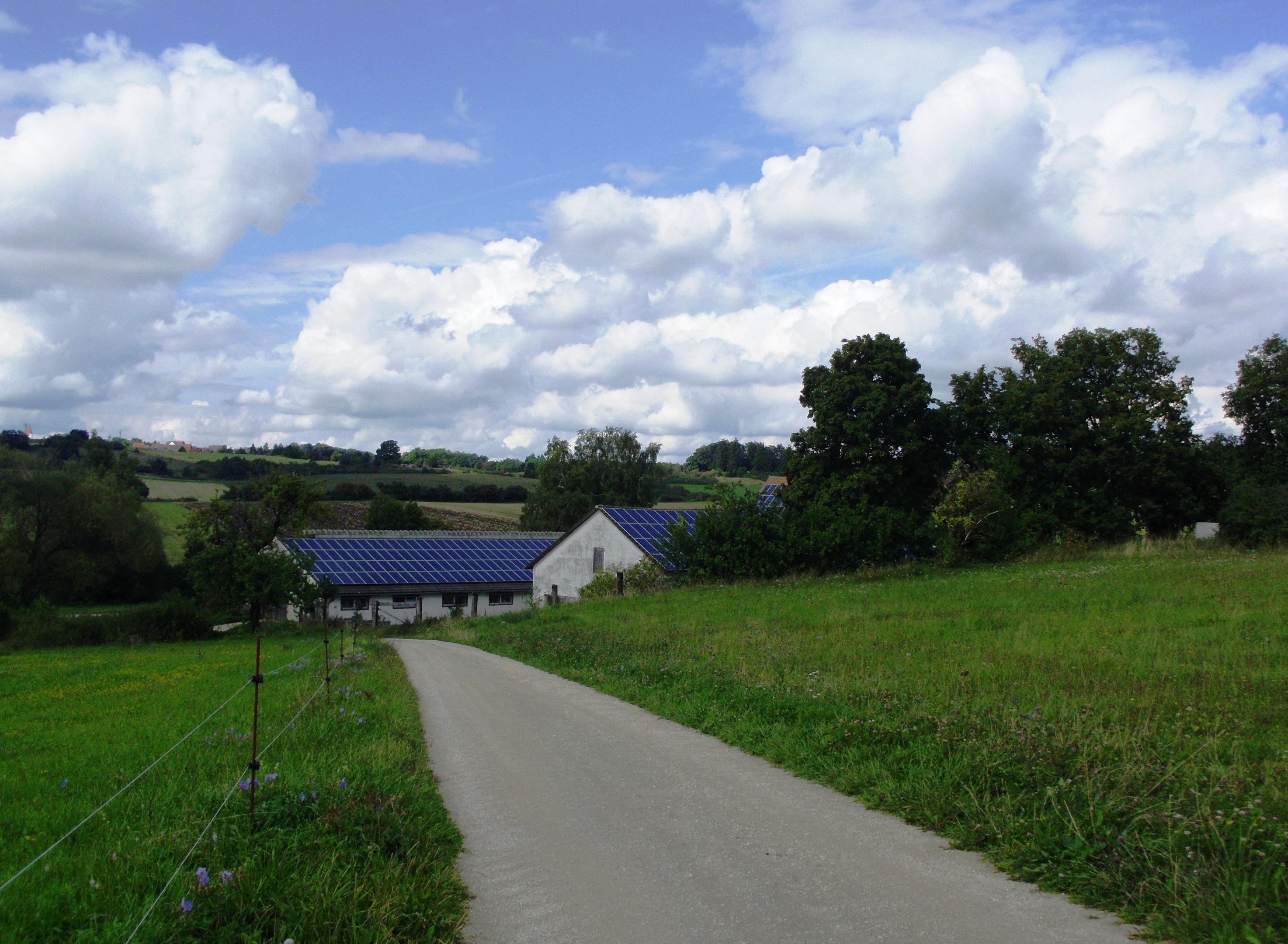Eine kurvenreiche Landstraße führt durch ein grünes Feld mit Gras, Pflanzen, Blumen und Bäumen, gesäumt von Häusern mit Solarpanelen unter einem bewölkten Himmel.