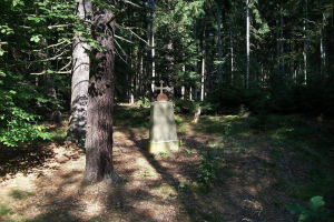 Ein Grab mit einem Kreuz im Wald, umgeben von Bäumen und Pflanzen, das mutmaßlich die Ruhestätte eines Mannes ist, der bei einem Autounfall ums Leben kam.