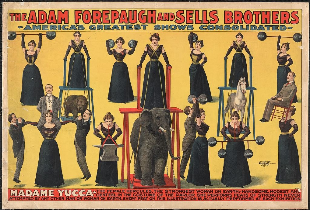 Plakat für Adam Forepaugh und Sells Brothers Circus mit Performern auf Hockern und einem Elefanten in der Mitte mit Text.