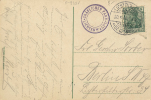 Alte Postkarte mit einer Briefmarke, die "Lichtenwald, Germany - Cover to Germany" lautet, mit handgeschriebenem Text und zwei zusätzlichen Briefmarken in der oberen rechten Ecke.
