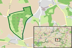 Neuer Bus-Betriebshof, Kfz-Zulassungs- und Führerscheinstelle: Umzug von der Rheinstraße-Industriezone - Umstrukturierung geplant