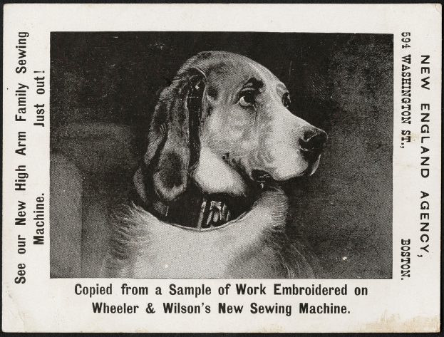Ein Blatt mit einer Hund-Illustration und Text in der Mitte.