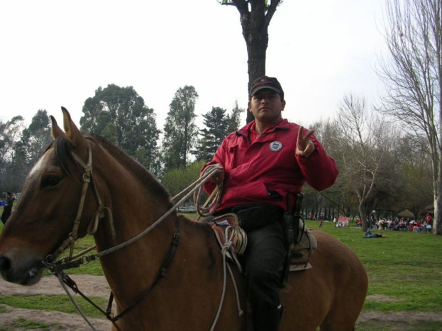 Eine Person, die ein Pferd in einem grasigen Gebiet mit B├Ąumen und ein paar anderen Menschen im Hintergrund reitet.